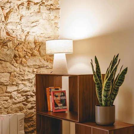 Bravissimo Estudi Verd, In The Historic Centre *