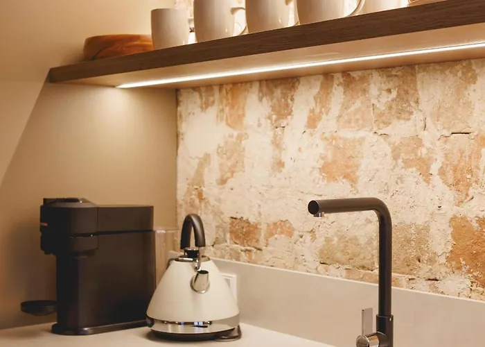 Bravissimo Estudi Verd, In The Historic Centre Appartement